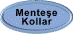 butonmen1.gif (862 bytes)